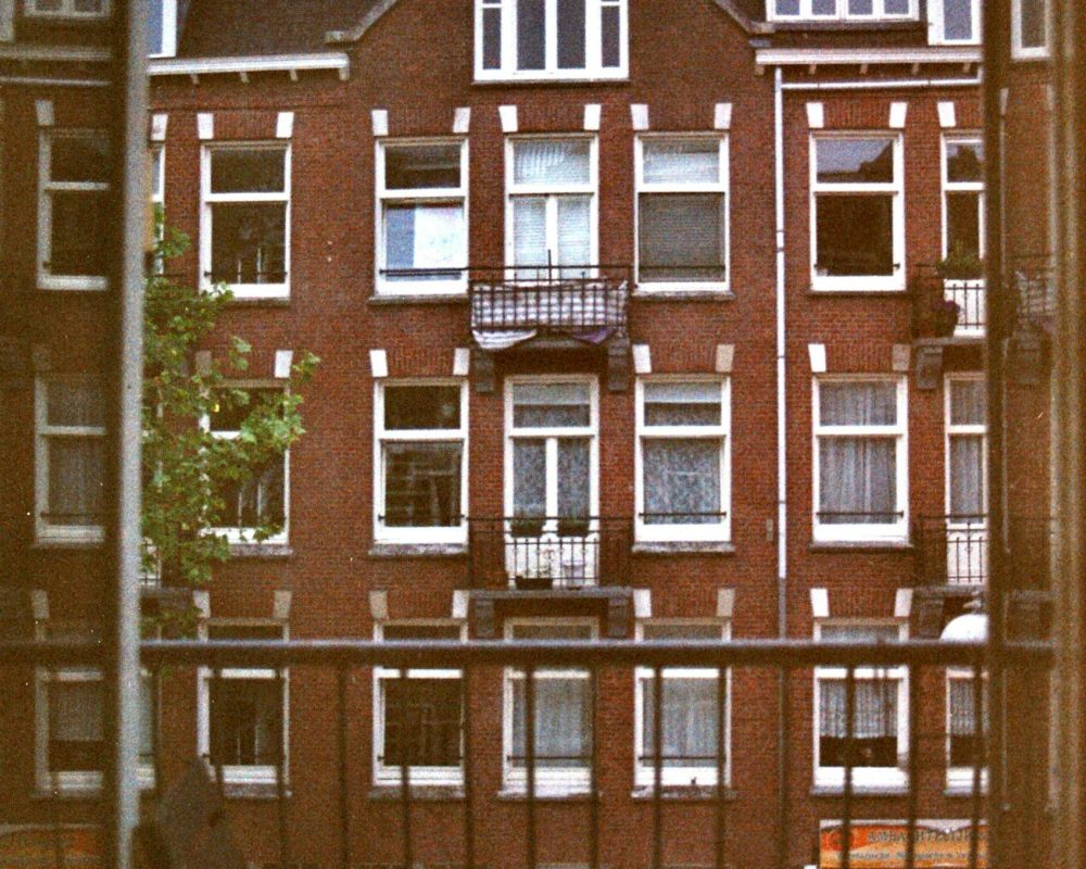 pexels-kadaaran-12354699